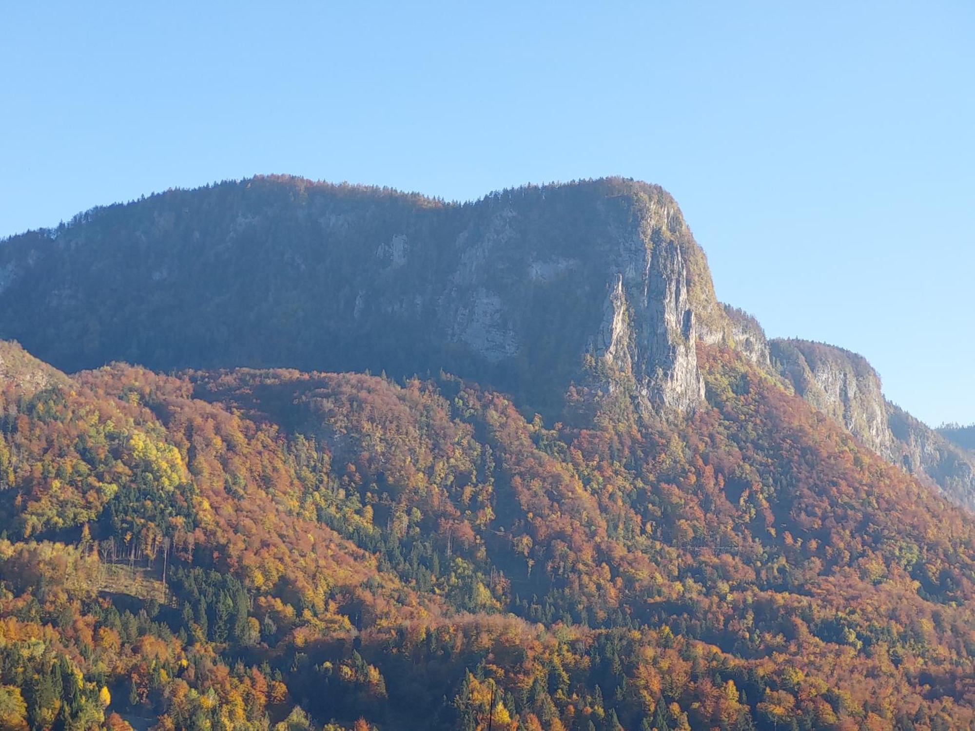 Apartmaji Pr'Pisk Bohinjska Bela Exterior photo